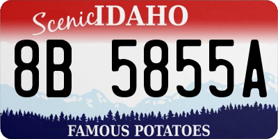 ID license plate 8B5855A