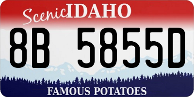ID license plate 8B5855D