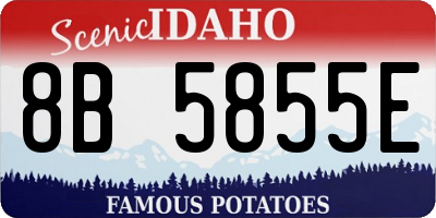 ID license plate 8B5855E
