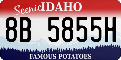 ID license plate 8B5855H