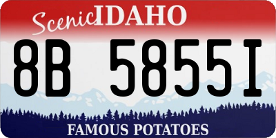 ID license plate 8B5855I