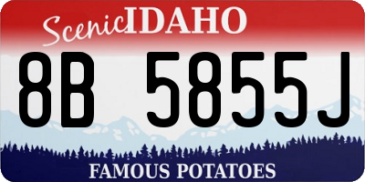 ID license plate 8B5855J