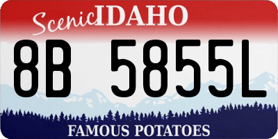 ID license plate 8B5855L