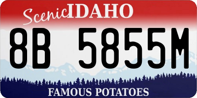 ID license plate 8B5855M
