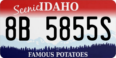 ID license plate 8B5855S