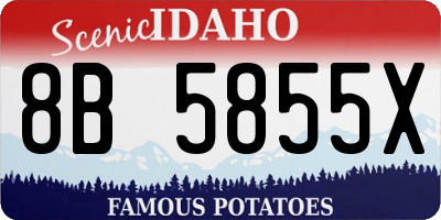 ID license plate 8B5855X