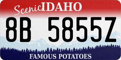 ID license plate 8B5855Z