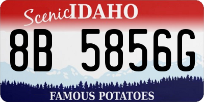 ID license plate 8B5856G