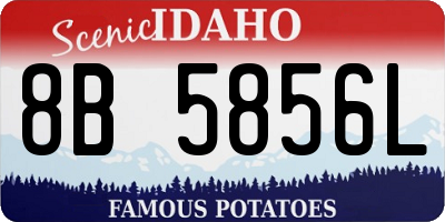 ID license plate 8B5856L