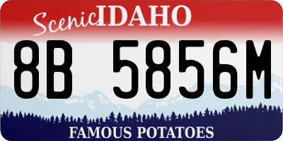 ID license plate 8B5856M