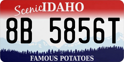ID license plate 8B5856T