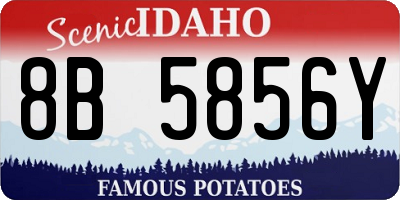 ID license plate 8B5856Y