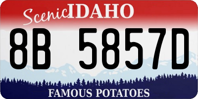 ID license plate 8B5857D