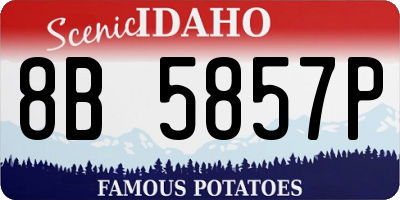 ID license plate 8B5857P