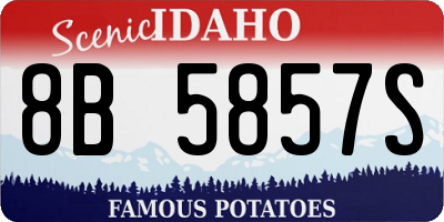 ID license plate 8B5857S