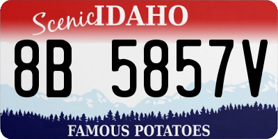 ID license plate 8B5857V