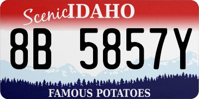 ID license plate 8B5857Y