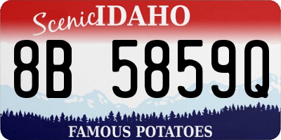 ID license plate 8B5859Q
