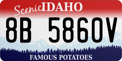 ID license plate 8B5860V