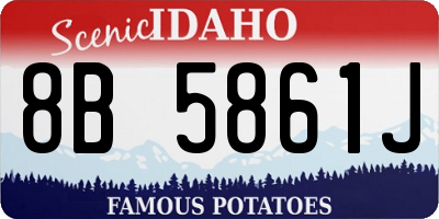 ID license plate 8B5861J
