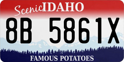 ID license plate 8B5861X