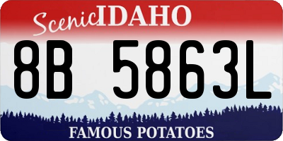 ID license plate 8B5863L