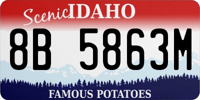 ID license plate 8B5863M