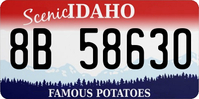 ID license plate 8B5863O