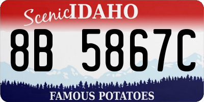 ID license plate 8B5867C
