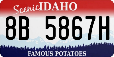 ID license plate 8B5867H