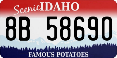 ID license plate 8B5869O