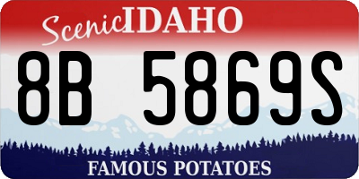 ID license plate 8B5869S