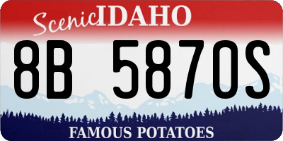 ID license plate 8B5870S