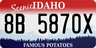 ID license plate 8B5870X