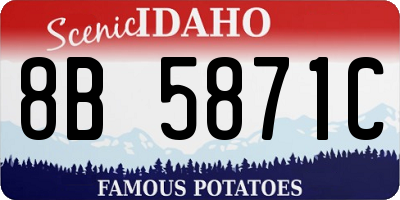 ID license plate 8B5871C