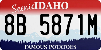 ID license plate 8B5871M