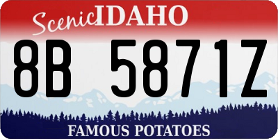 ID license plate 8B5871Z