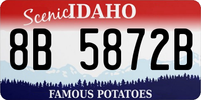 ID license plate 8B5872B