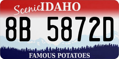 ID license plate 8B5872D