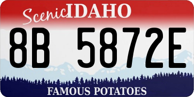 ID license plate 8B5872E