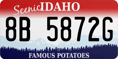 ID license plate 8B5872G