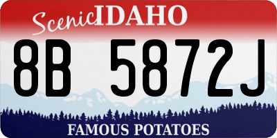 ID license plate 8B5872J