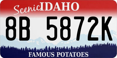 ID license plate 8B5872K
