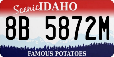 ID license plate 8B5872M