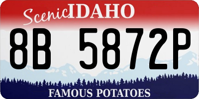 ID license plate 8B5872P