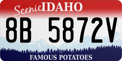 ID license plate 8B5872V