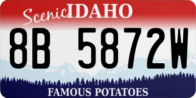 ID license plate 8B5872W