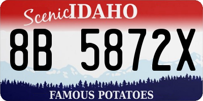 ID license plate 8B5872X