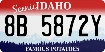 ID license plate 8B5872Y