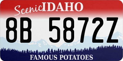 ID license plate 8B5872Z